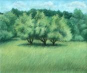 AppleTrees-painting-1000px