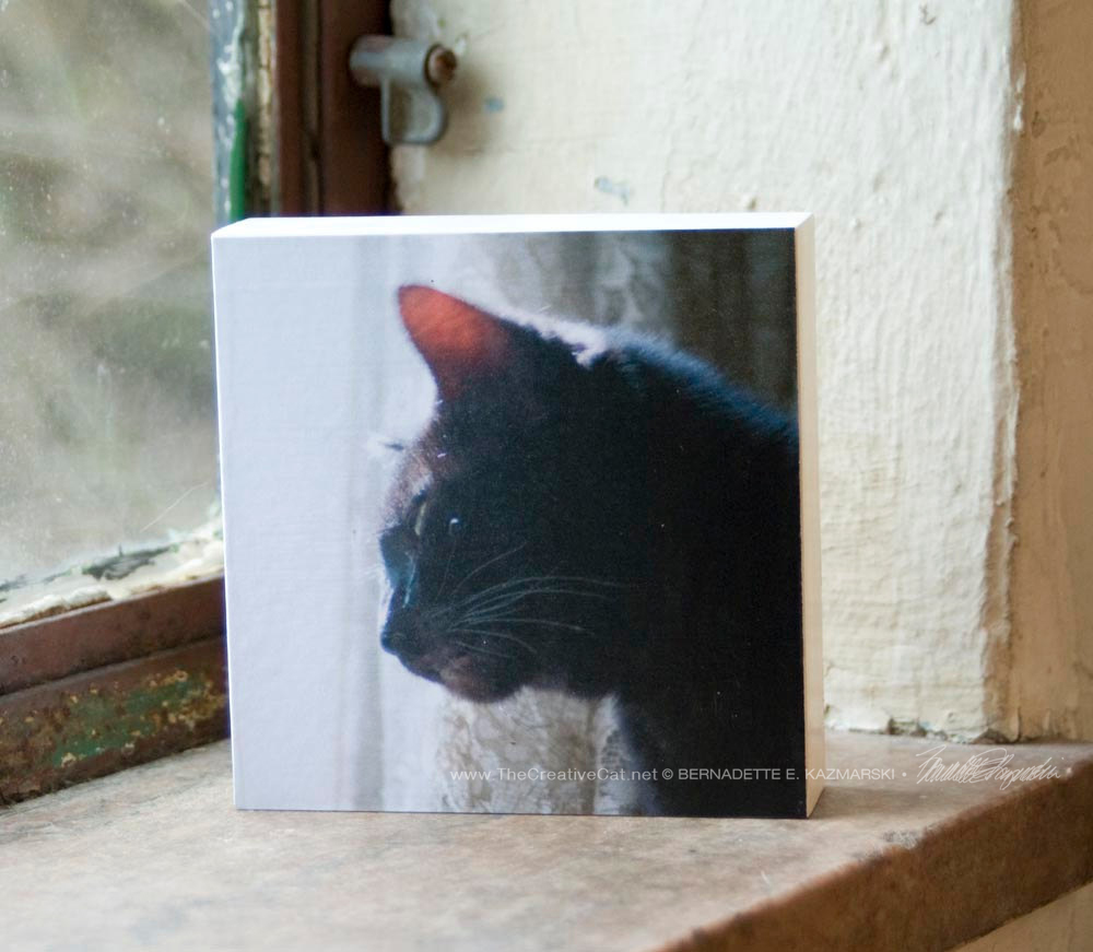 "Mimi" wood-mounted photo.