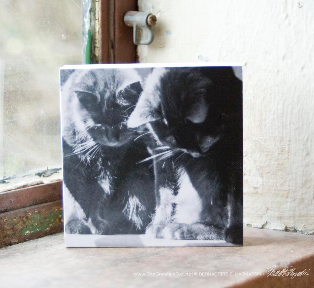 "Studying Something" wood-mounted photo