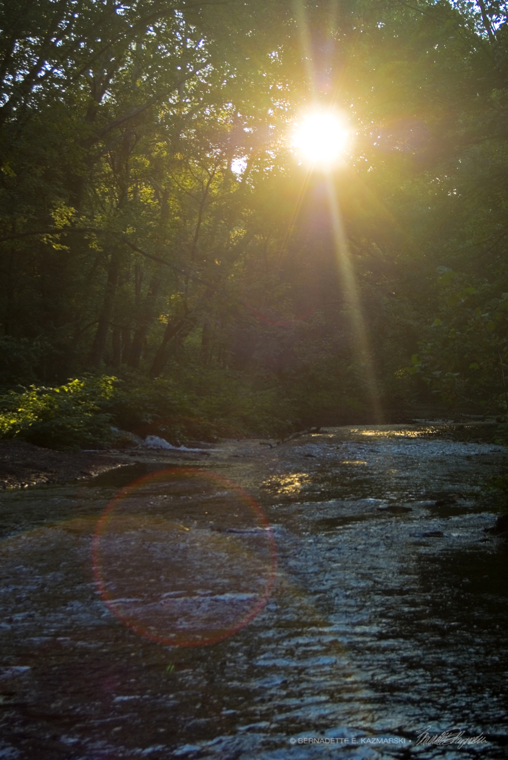 Summer Sunset, On the Run
