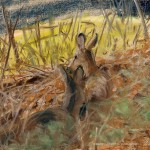 "Safe", pastel, 15" x 20", 2015 © Bernadette E. Kazmarski