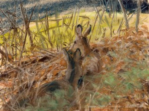 "Safe", pastel, 15" x 20", 2015 © Bernadette E. Kazmarski