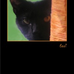 Boo! Lucy Halloween Card