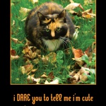 I DARE You Tortie Halloween Card