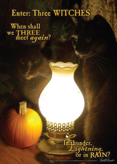 Enter Three WITCHES Halloween Card