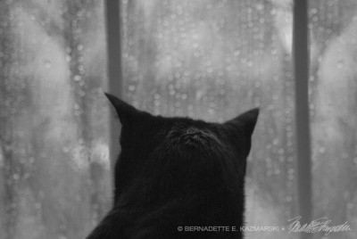 Of the Rain and Giuseppe