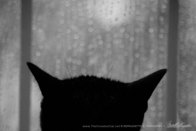 Of the Rain and Giuseppe, Pondering