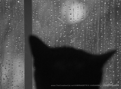 Of the Rain and Giuseppe, Dreaming