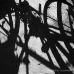 Wheels and Spokes