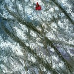 Accent, pastel, 6" x 13" © Bernadette E. Kazmarski