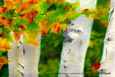 Birches 1, detail.