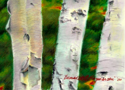 Birches 1, detail.