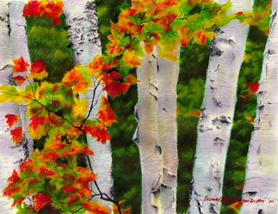 Birches 1, Autumn Showers, oil pastel, 24.5 x 18, 1998 © Bernadette E. Kazmarski