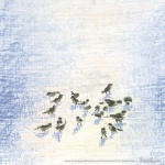 Birds in Snow, square, 6 x 6