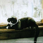 Buster Lookin' at His Toes, watercolor, 4" x 5", 1995 © Bernadette E. Kazmarski