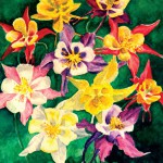 Columbines
