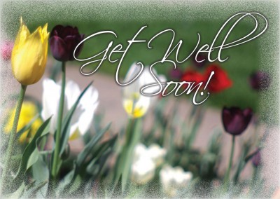 Get Well Tulips