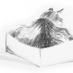 In the Box