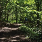 My brother Mark enjoying the woods along a trail in Scott Township.