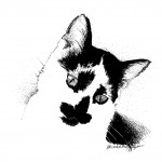 Pansy.