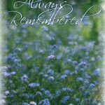 Remembering Forget Me Nots