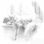 Sleeping Beauty.