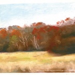 Soft November Afternoon, pastel 10 x 8, 2006 © Bernadette E. Kazmarski