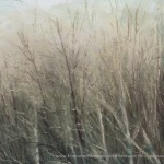 Detail, treetops with mist.