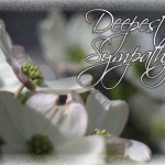 Sympathy Dogwood