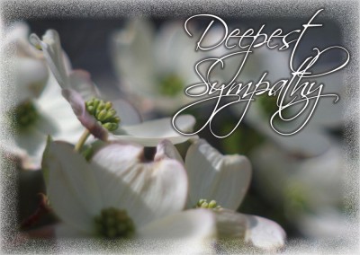 Sympathy Dogwood