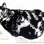F. Print only, black and white