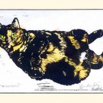 D. Single matted (cream black core), tinted print, 11 x 14