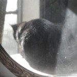 Mimi in the Mirror