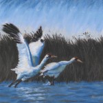 "Taking Flight", pastel, 18.25" x 12.25", 2000 © Bernadette E. Kazmarski