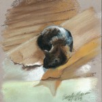 Tonal Nap, uncropped sketch.