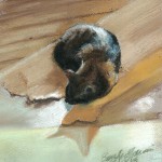 "Tonal Nap", pastel on pastello paper, 8" x 10" © Bernadette E. Kazmarski