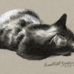 "A Vigilant Nap", black and white charcoal pencils on gray toned paper, 4.5" x 7" ยฉ Bernadette E. Kazmarski
