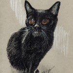 “Kennedy”, white and black charcoal on gray toned paper, 5″ x 8″ © Bernadette E. Kazmarski