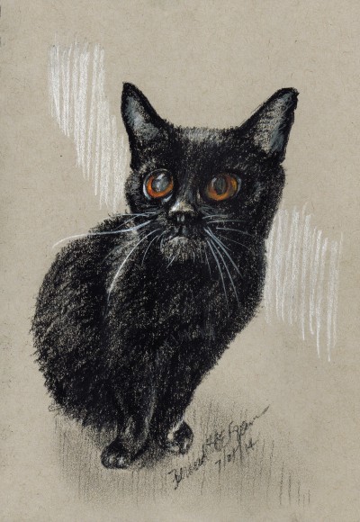 “Kennedy”, white and black charcoal on gray toned paper, 5″ x 8″ © Bernadette E. Kazmarski