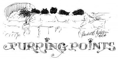 "Purring Points", ink drawing pen, 6.5" x 3.5" © Bernadette E. Kazmarski