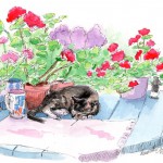 "Stanley With Geraniums", ink and watercolor, 9" x 12" ยฉ Bernadette E. Kazmarski