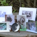Look at all these things I helped to design.