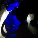 Blue Pitcher With Black Cat