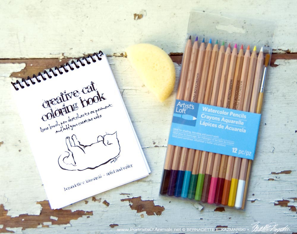"Creative Cat Coloring Book" with watercolor pencils and art sponge.