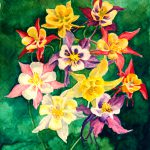 Columbines, Watercolor, 5 x 7, 1994 © Bernadete E. Kazmarski