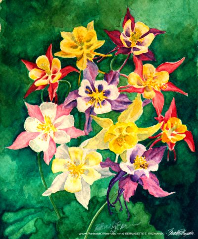 Columbines, Watercolor, 5 x 7, 1994 © Bernadete E. Kazmarski