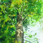 “From the Ground Up”, pastel on multi-media paper, 6.5″ x 9.5″ © Bernadette E. Kazmarski