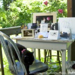 Mimi approves of the May Sampler Box.
