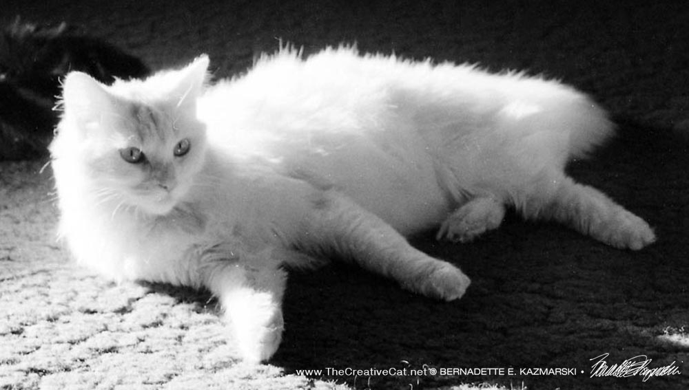 Sally, Reclining.