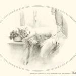 Sleeping Beauty note card on cream cotton cover from "Feline Pencil Sketches"